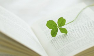 山中无岁月寒尽不知年全诗是什么（山中无历日,寒尽不知年.全诗是什么）