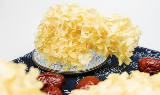 银耳和木耳可以一起吃吗 五种人不宜吃木耳