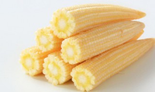 玉米笋的功效与作用（玉米笋的功效与作用怎么样做好吃怎么样保存好）