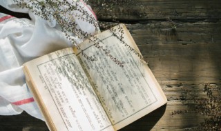 怫怎么读（怫怎么读什么意思）