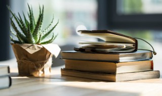 篼怎么读（亽字怎么读）