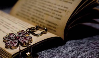 厚德载物下一句怎么接(厚德载物下一句怎么接位陪德)