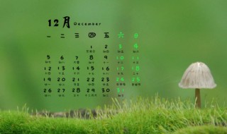 丑月是几月 十龙九苦,哪个月份最苦