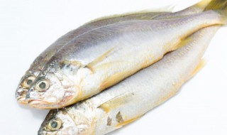 炝锅鱼怎么做 炝锅鱼怎么做法