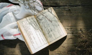 牛字组词（牛字组词100个）