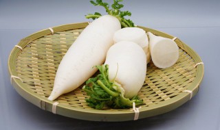 白萝卜蜂蜜止咳的做法（蜂蜜泡白萝卜止咳效果惊人）