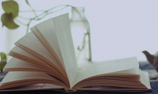 则的组词是什么 乱字组词