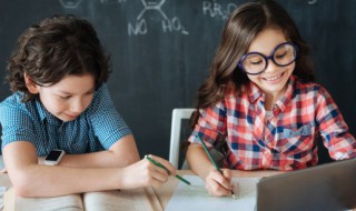 不负韶华下一句 不负韶华下一句是啥