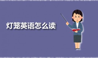 灯笼英语怎么读（龙英语怎么读）