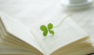 絮组词（絮组词语和拼音）