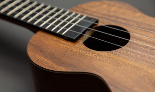 吉他英语怎么读（吉他英语怎么读guitar）