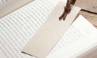 猴子的英语怎么读(猴子的英语怎么读 单词)