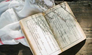 写妈妈的作文 写妈妈的作文400字左右