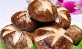 香菇相克的食物（香菇相克的食物和禁忌）