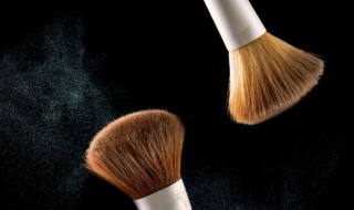 化妆时到底需要哪几种刷子（化妆时到底需要哪几种刷子好）