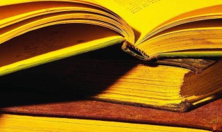 贴贴是什么意思（贴贴是什么意思网络用语女生对女生）