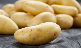 土豆和西红柿鸡蛋能一起吃吗（土豆可以和西红柿和鸡蛋可以一起吃吗）