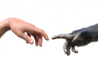 达尔文的论断（达尔文的论断有哪些）