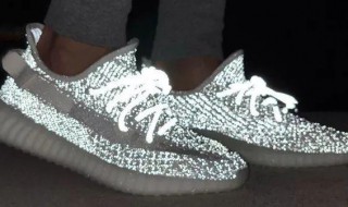 椰子满天星和天使的区别（椰子满天星和天使的区别图片）