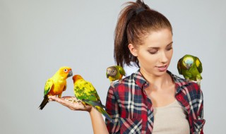 牡丹鹦鹉多少度会冷死（牡丹鹦鹉多少度需要保暖）