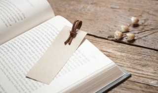 笨鸟先飞成语故事（笨鸟先飞故事原版）