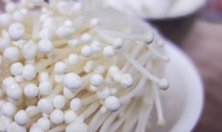 春养肝吃什么好（春夫养肝吃什么）