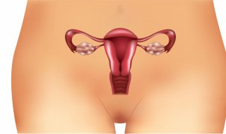 多囊卵巢食疗方法技巧（多囊卵巢怎么食疗）