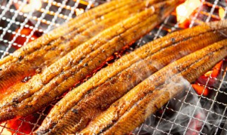 吃完鱼不能吃什么水果 吃完鱼不能吃什么水果和蔬菜