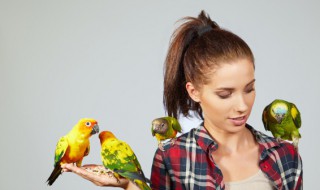 鹦鹉冬天怎么过冬（成年小太阳鹦鹉冬天怎么过冬）