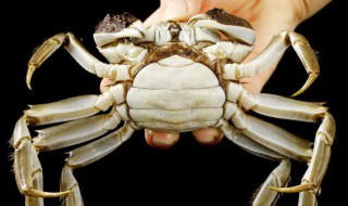 南昌特产有哪些可以方便携带的 南昌特产有哪些可以方便携带的食物