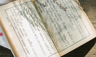 面朝大海春暖花开全文 面朝大海春暖花开出自哪本书