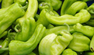 腌青辣椒怎么腌（如何腌制青辣椒最好吃）