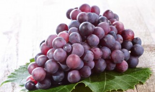 吃不到葡萄说葡萄酸是什么心理（吃不到葡萄说葡萄酸是什么心理防卫机制）