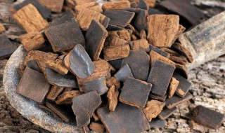 什么人不能喝杜仲茶（什么人不能喝杜仲茶叶）