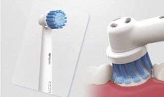 电动牙刷怎么拆 电动牙刷怎么拆刷头