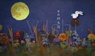 中秋节的诗句古诗大全（小学中秋节的诗句古诗大全）