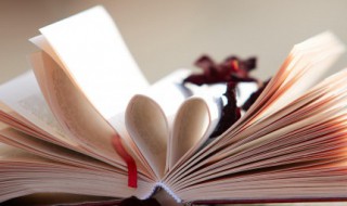 赞美妈妈的诗歌 赞美妈妈的诗歌大全