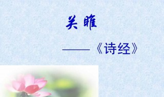 关雎的翻译（关雎的翻译文）