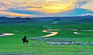 呼伦贝尔大草原在哪里 呼伦贝尔大草原在哪里个省份
