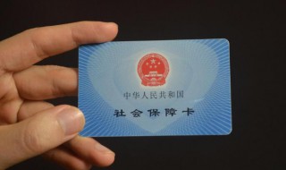 广州社保积分怎么查询（广州社保积分怎么查询余额）