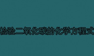 检验二氧化碳的化学方程式 氢氧化钠变质的化学方程式