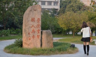 浙江树人大学是几本 浙江树人大学2022年分数线