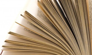 彬彬有礼的近义词（彬彬有礼的近义词和反义词）