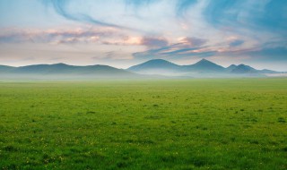 什么的草原 什么的草原一年级