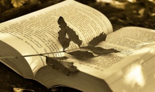 无组织排放是什么意思 无组织排放是什么意思啊