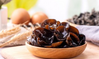 木耳凉拌菜怎么做好吃（木耳凉拌菜怎么做好吃视频）