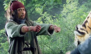 武行者夜走蜈蚣岭概括（武行者夜走蜈蚣岭概括200字）