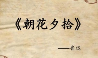 朝花夕拾后记概括 朝花夕拾小引阅读感想