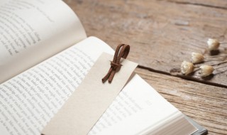 西游记第60回概括 西游记第60回概括200字