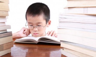 苏维埃社会概括（苏维埃社会概括300字）